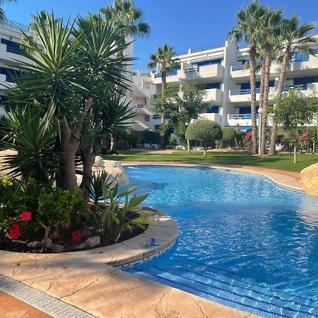 Coral House - La Calma - Playa Flamenca - Big Terrace & 4 Swimming Pools. Lägenhet Exteriör bild