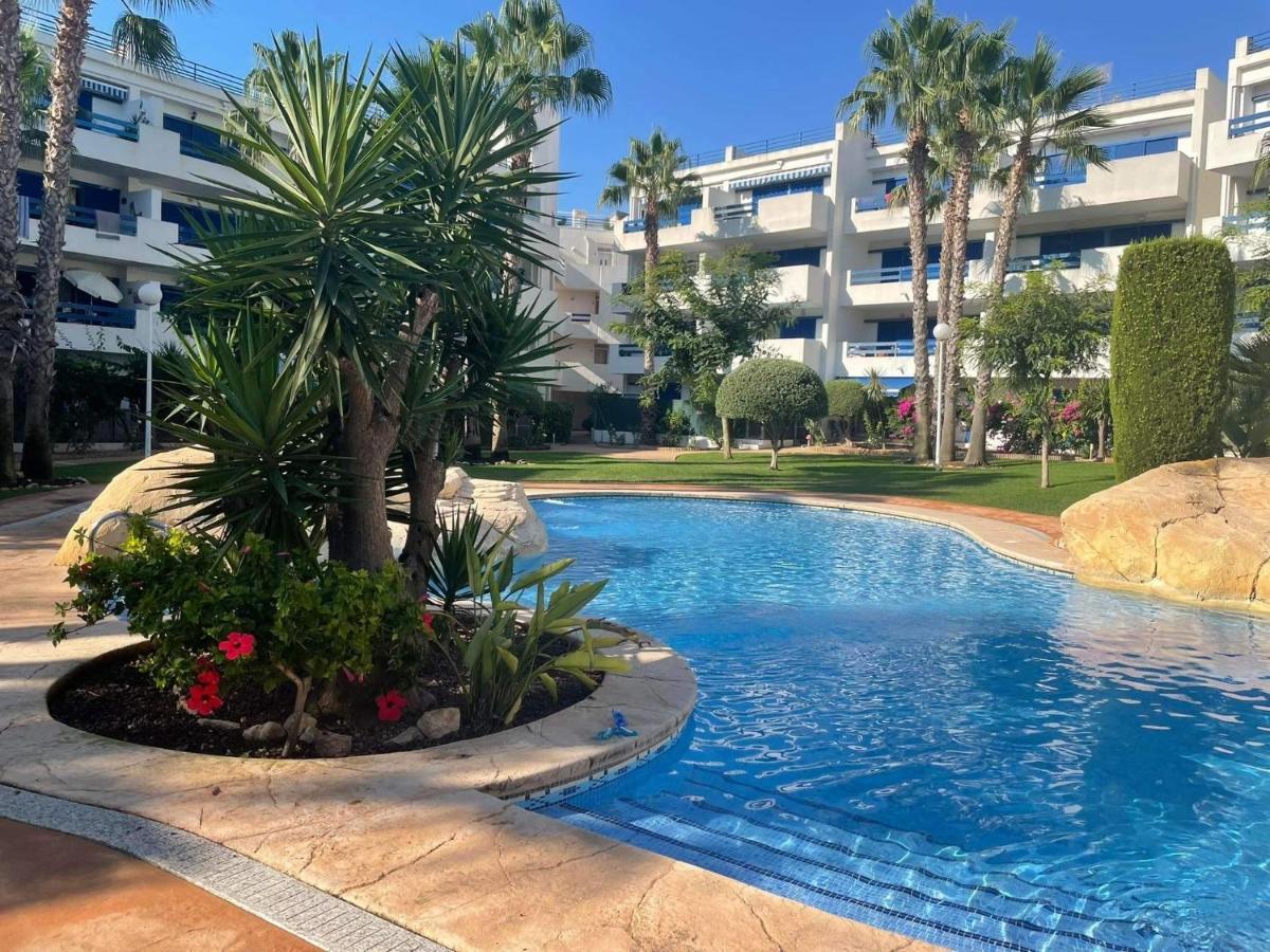 Coral House - La Calma - Playa Flamenca - Big Terrace & 4 Swimming Pools. Lägenhet Exteriör bild