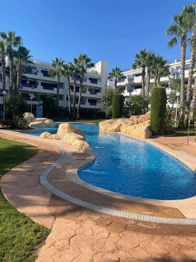 Coral House - La Calma - Playa Flamenca - Big Terrace & 4 Swimming Pools. Lägenhet Exteriör bild