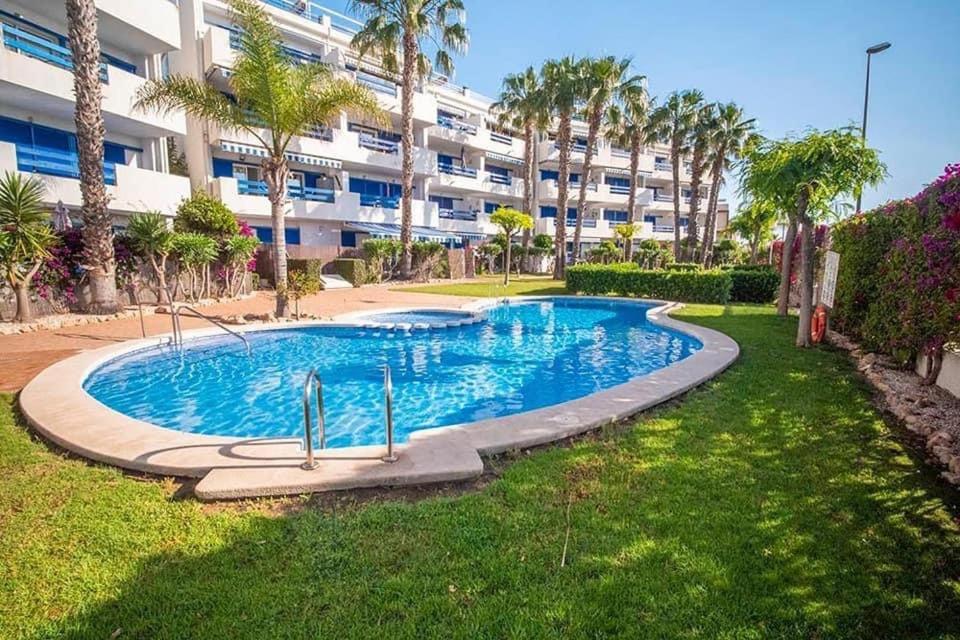 Coral House - La Calma - Playa Flamenca - Big Terrace & 4 Swimming Pools. Lägenhet Exteriör bild